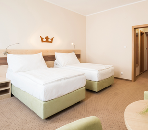 Hotel Česká Koruna — gallery image 2